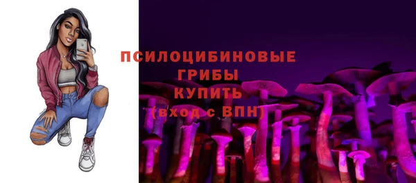 синтетический гашиш Белокуриха