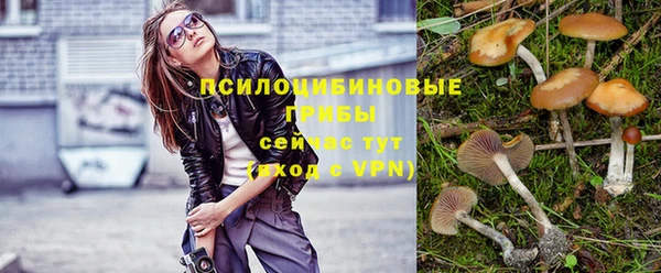 jwh Беломорск