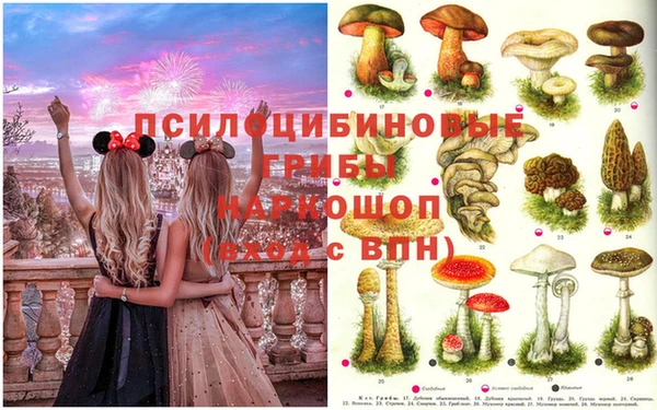 jwh Беломорск